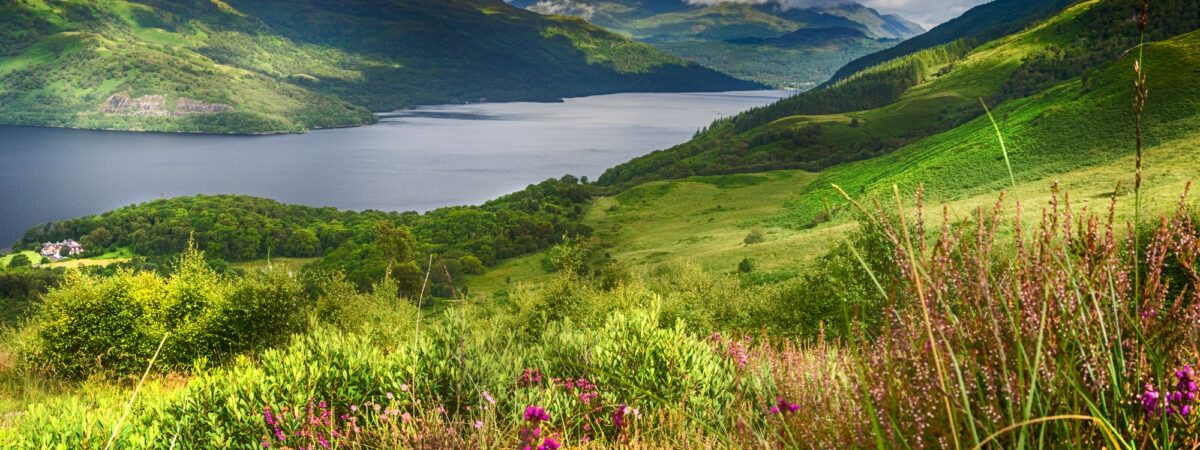 Le Loch Lomond