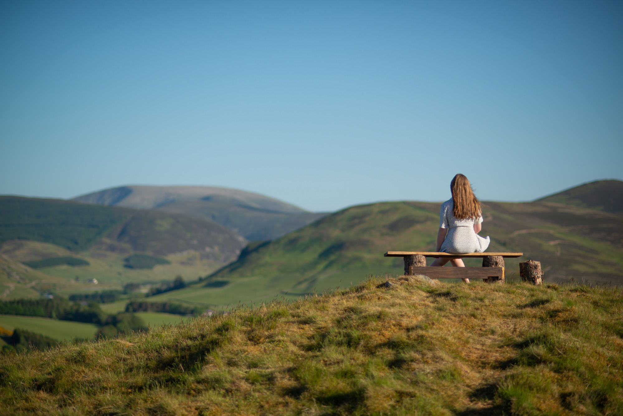 Le scots- © ystewarthenderson - Adobe Stock