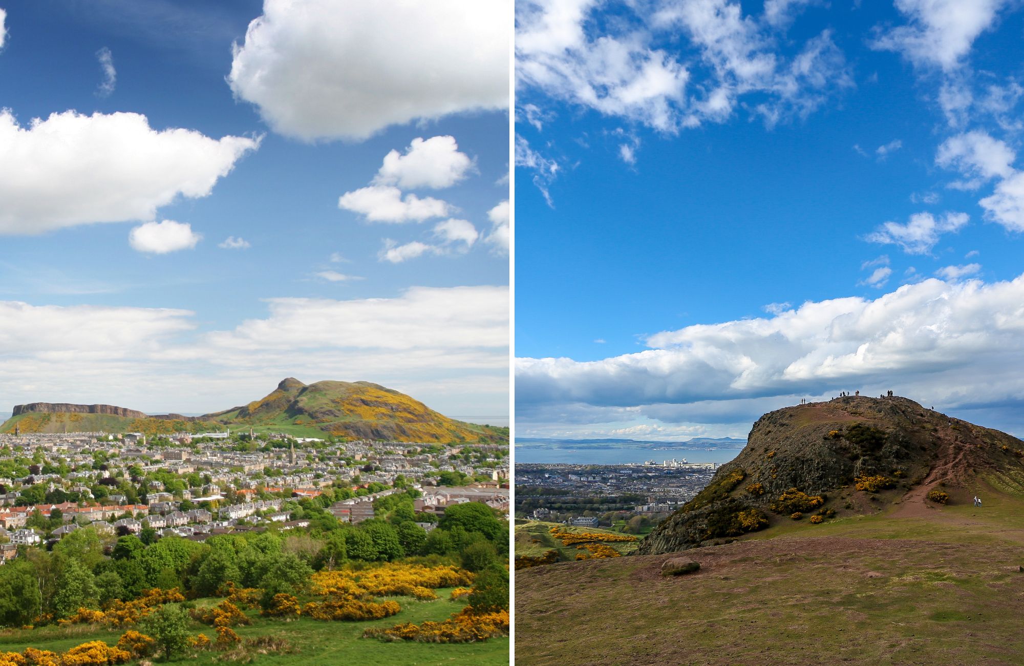 Arthur's Seat - Canva Pro
